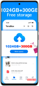 files zero terabox 